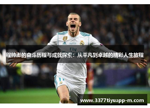 程帅澎的奋斗历程与成就探索：从平凡到卓越的精彩人生旅程